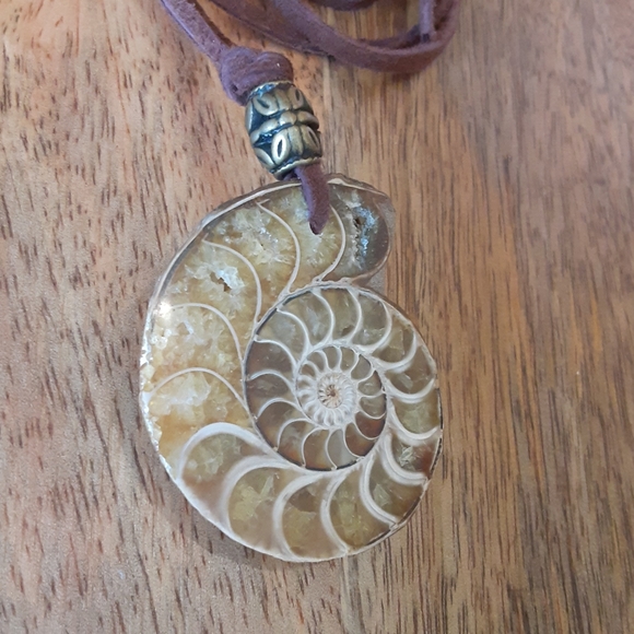 BEAUTIFUL- Real Ammonite Fossil/ Genuine Brown Leather Cord Necklace - Picture 2 of 8